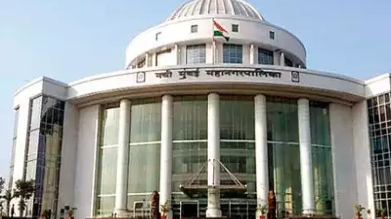 Navi Mumbai to have park for differently abled people Navi Mumbai to have park for differently abled people