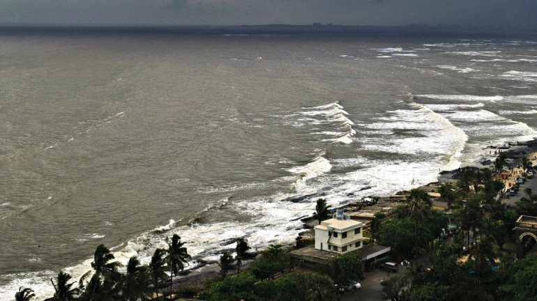 New CRZ rules to ensure safety for open spaces in Mumbai; activists fear for the coastal ecosystem New CRZ rules to ensure safety for open spaces in Mumbai; activists fear for the coastal ecosystem