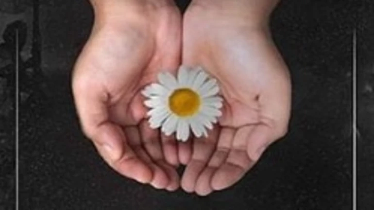 आमिर खान की ‘रुबरू रोशनी’ 7 भाषाओं में हुई रिलीज, सोशल मीडिया पर हुई ट्रेंड आमिर खान की ‘रुबरू रोशनी’ 7 भाषाओं में हुई रिलीज, सोशल मीडिया पर हुई ट्रेंड