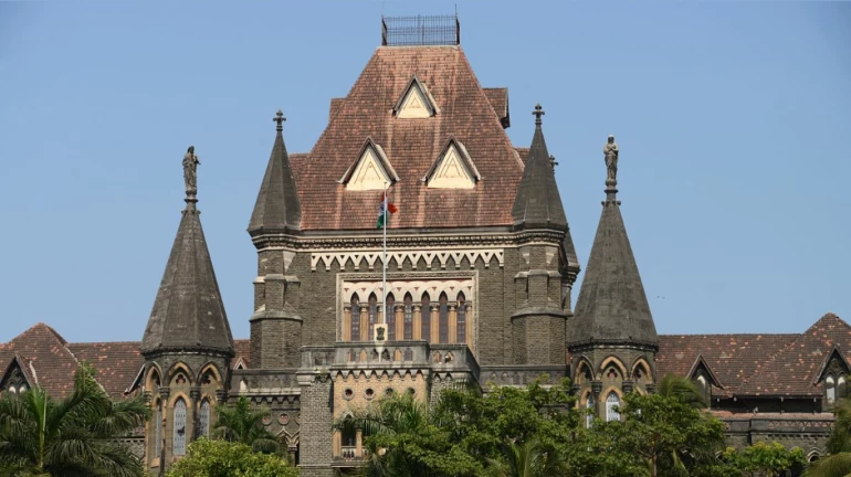 Badlapur sexual assault case: Don't rush to file charge sheet on public outrage, HC directs SIT Badlapur sexual assault case: Don't rush to file charge sheet on public outrage, HC directs SIT