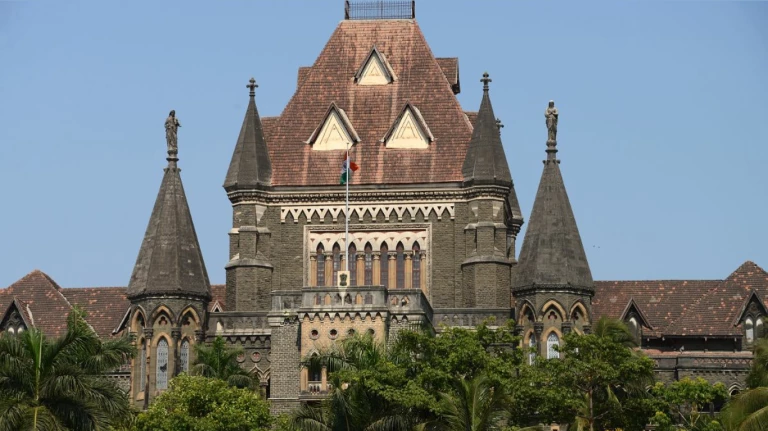 BMC's decision to ban feeding pigeons to continue till August 13, need expert panel suggestion: Bombay HC