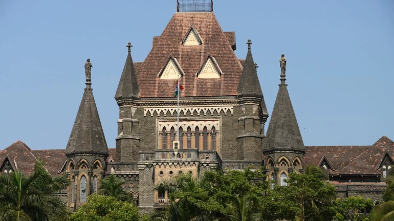 Maratha Reservation: Bombay HC directs Maharashtra government to submit report to opposition and petitioners