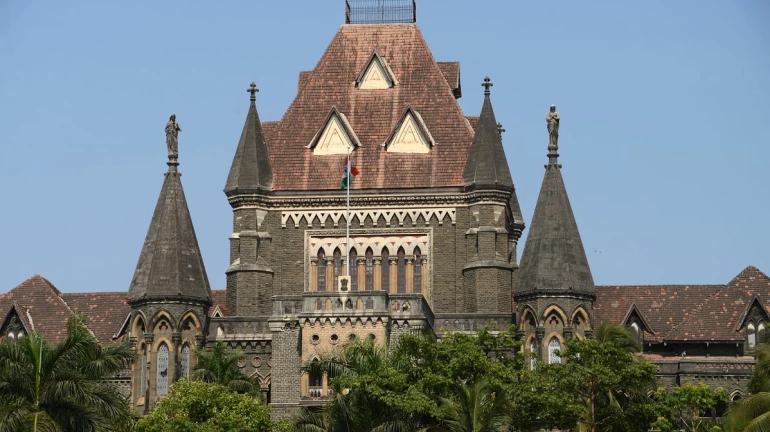 Maratha Reservation: Bombay HC directs Maharashtra government to submit report to opposition and petitioners Maratha Reservation: Bombay HC directs Maharashtra government to submit report to opposition and petitioners