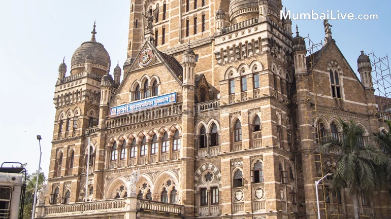 पालिकेकडून जप्त केलेल्या प्लास्टिकचा लिलाव होणार पालिकेकडून जप्त केलेल्या प्लास्टिकचा लिलाव होणार