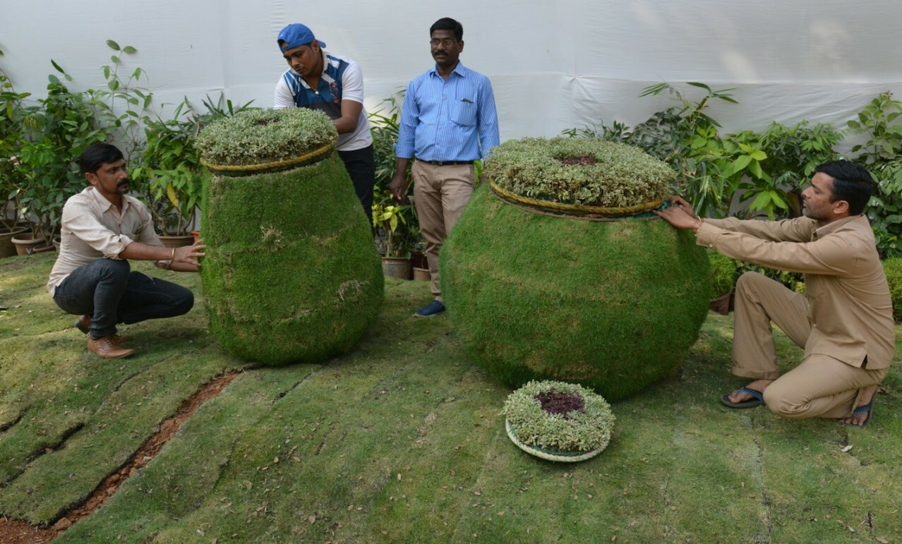 राणीच्या बागेत फुलांची सनई, बासरी आणि गिटार