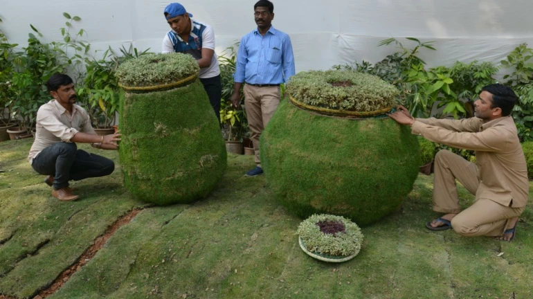 राणीच्या बागेत फुलांची सनई, बासरी आणि गिटार राणीच्या बागेत फुलांची सनई, बासरी आणि गिटार