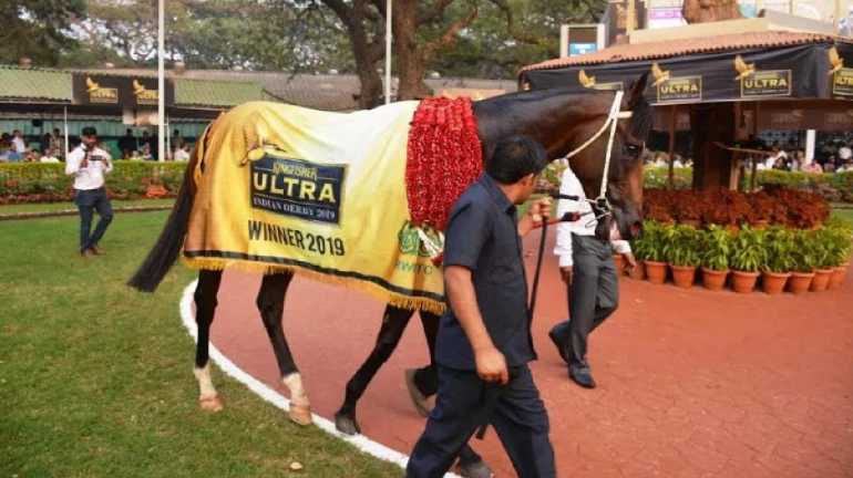 Star Superior wins the prestigious Kingfisher Ultra Indian Derby 2019 Star Superior wins the prestigious Kingfisher Ultra Indian Derby 2019