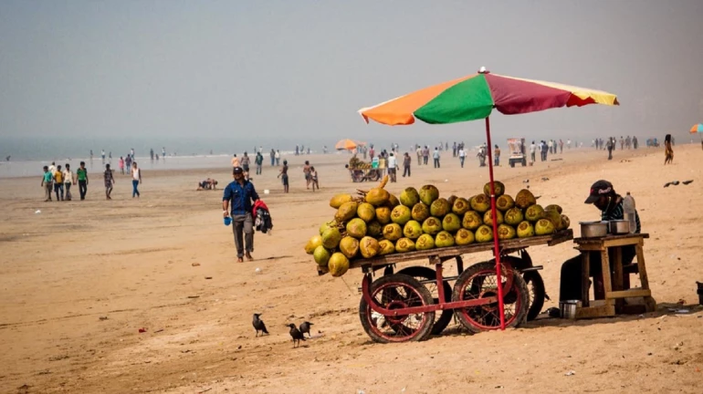 तापमान बढ़ना हुआ शुरु, संक्रामक बीमारियों का बढ़ेगा खतरा तापमान बढ़ना हुआ शुरु, संक्रामक बीमारियों का बढ़ेगा खतरा
