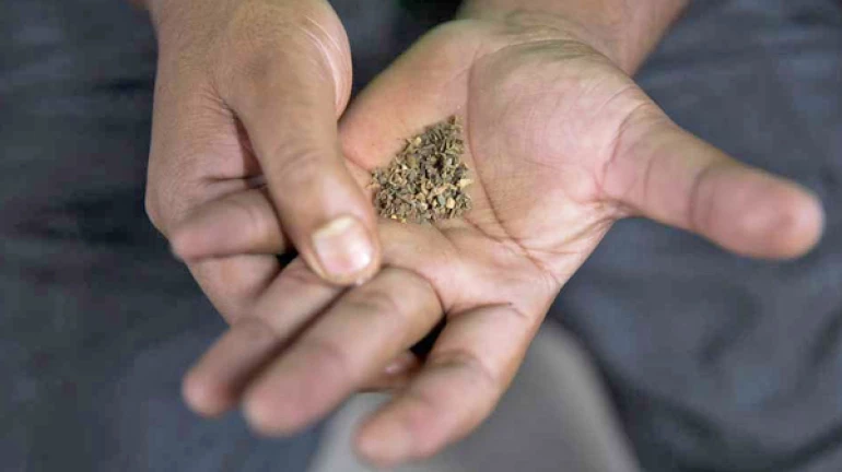 'मॅजिक मिक्स'मुळे बेस्टचे ५००० कर्मचारी तंबाखूमुक्त 'मॅजिक मिक्स'मुळे बेस्टचे ५००० कर्मचारी तंबाखूमुक्त