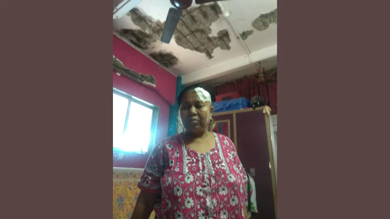 नायगाव बीडीडीत स्लॅब कोसळून महिला जखमी नायगाव बीडीडीत स्लॅब कोसळून महिला जखमी