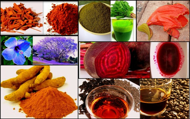 होळी आणि रंगपंचमीसाठी घरच्या घरी बनवा नैसर्गिक रंग