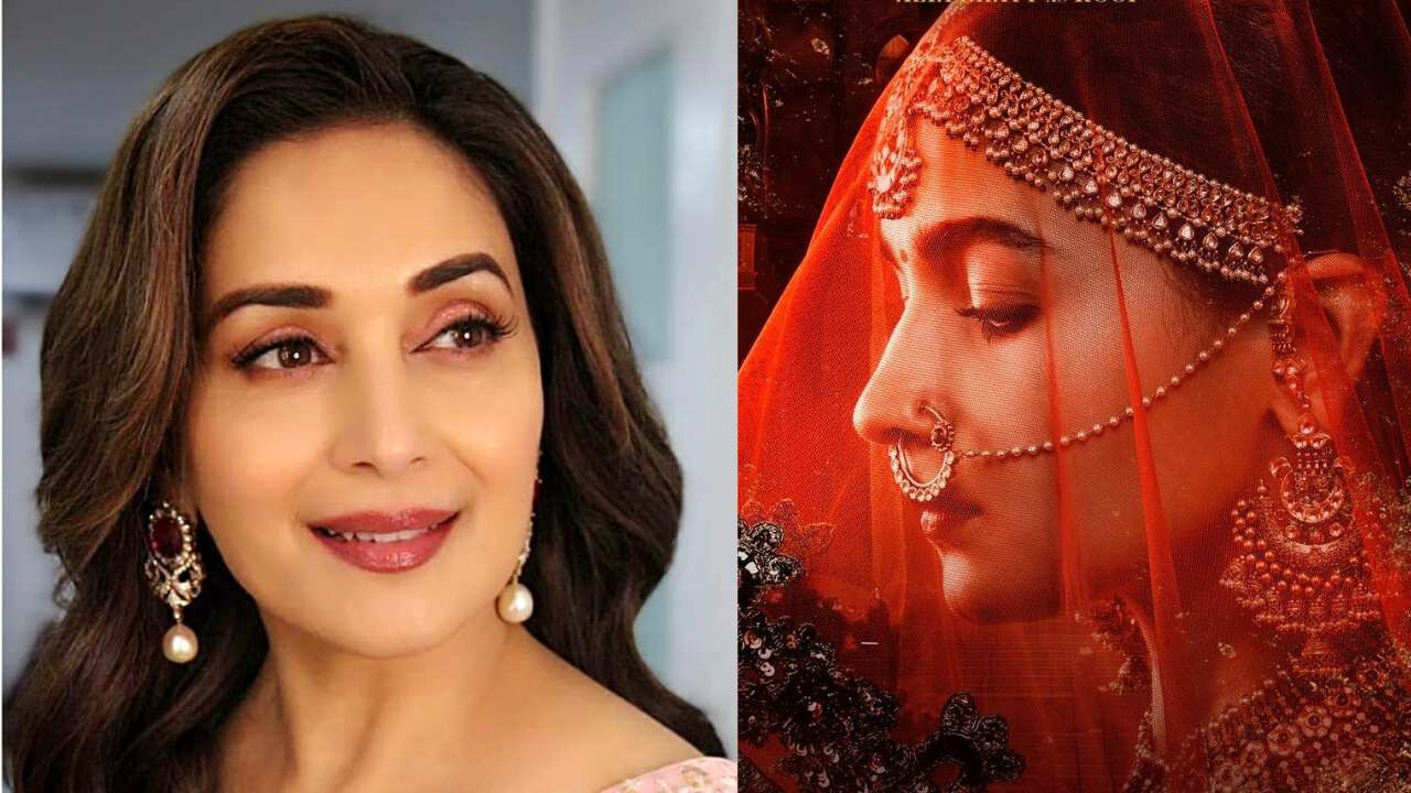 माधुरी दीक्षित की बायोपिक में नजर आएंगी आलिया भट्ट?