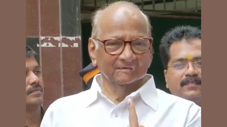 पार्टी छोड़नेवालों को दिखाएंगे सही जगह -शरद पवार पार्टी छोड़नेवालों को दिखाएंगे सही जगह -शरद पवार