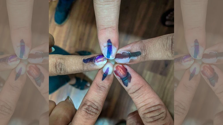 Assembly Elections 2019: Maharashtra records 55 per cent voter turnout by 5:50 pm