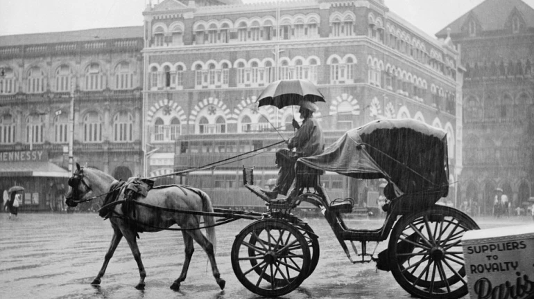 Mumbai streets to witness the iconic Victoria carriages again Mumbai streets to witness the iconic Victoria carriages again