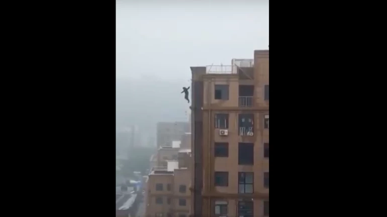 सेल्फी के चक्कर में गयी जान, विडियो देख कर कलेजा मुंह को आ जाएगा सेल्फी के चक्कर में गयी जान, विडियो देख कर कलेजा मुंह को आ जाएगा