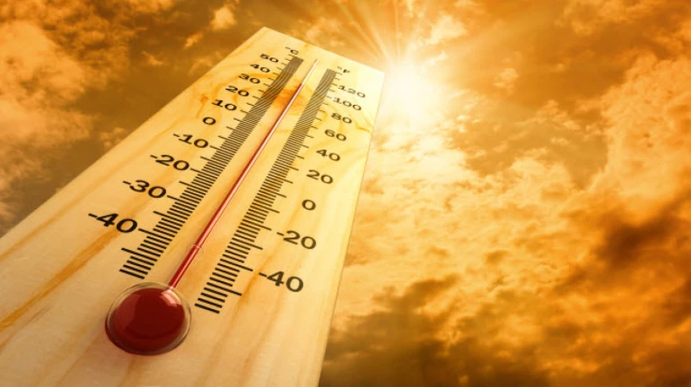 Increase in the number of heat stroke patients in Dhule, Thane, Wardha