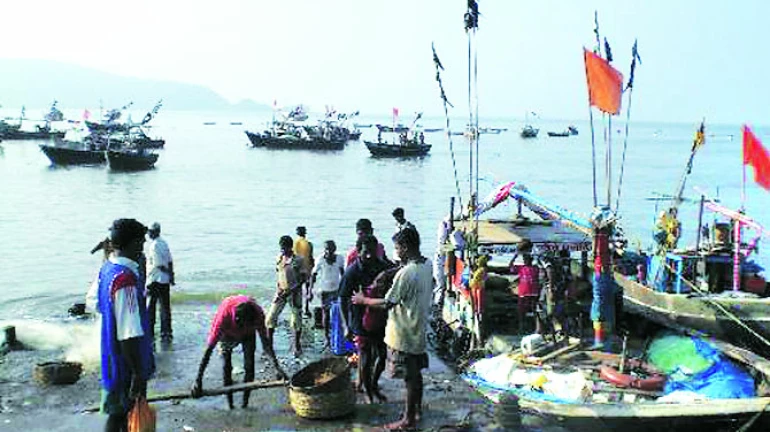 1 जून से 31 तक जुलाई समुद्र में यंत्रीकृत नौकाओं द्वारा मछली पकड़ने पर पाबंदी 1 जून से 31 तक जुलाई समुद्र में यंत्रीकृत नौकाओं द्वारा मछली पकड़ने पर पाबंदी