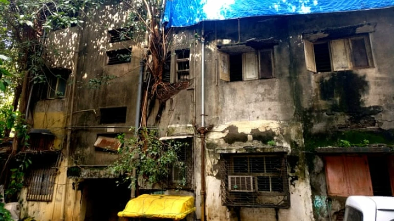 मुंबईत तब्बल ४९९ इमारती असुरक्षित
