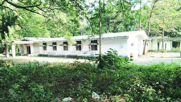 आरे वसाहतीत होणार आंतरराष्ट्रीय दर्जाचं प्राणीसंग्रहालय आरे वसाहतीत होणार आंतरराष्ट्रीय दर्जाचं प्राणीसंग्रहालय