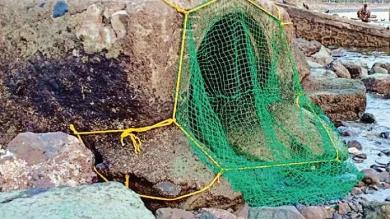 Trash Broom System To Be Implemented in Western Suburbs Trash Broom System To Be Implemented in Western Suburbs