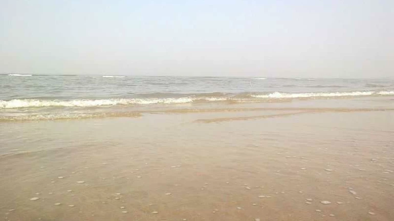 MMB asked to submit documents related to construction of a seawall at Aksa Beach MMB asked to submit documents related to construction of a seawall at Aksa Beach