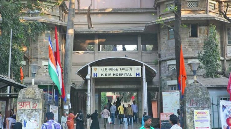 शिवडी अपघात प्रकरण: मृतांच्या नातेवाईकांची आरोपीविरोधात अजामीनपात्र गुन्हा नोंदविण्याची मागणी शिवडी अपघात प्रकरण: मृतांच्या नातेवाईकांची आरोपीविरोधात अजामीनपात्र गुन्हा नोंदविण्याची मागणी