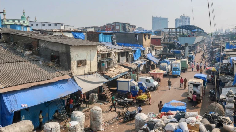 धारावीतील घरात अजगराची एन्ट्री धारावीतील घरात अजगराची एन्ट्री