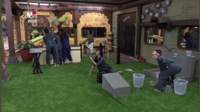 कोण कोणाला देणार धोबीपछाड? कोण कोणाला देणार धोबीपछाड?