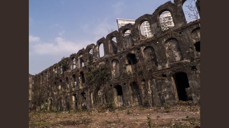 Shakti Mills Gang Rape Case: Advocate Deepak Salvi appointed as Special Public Prosecutor Shakti Mills Gang Rape Case: Advocate Deepak Salvi appointed as Special Public Prosecutor