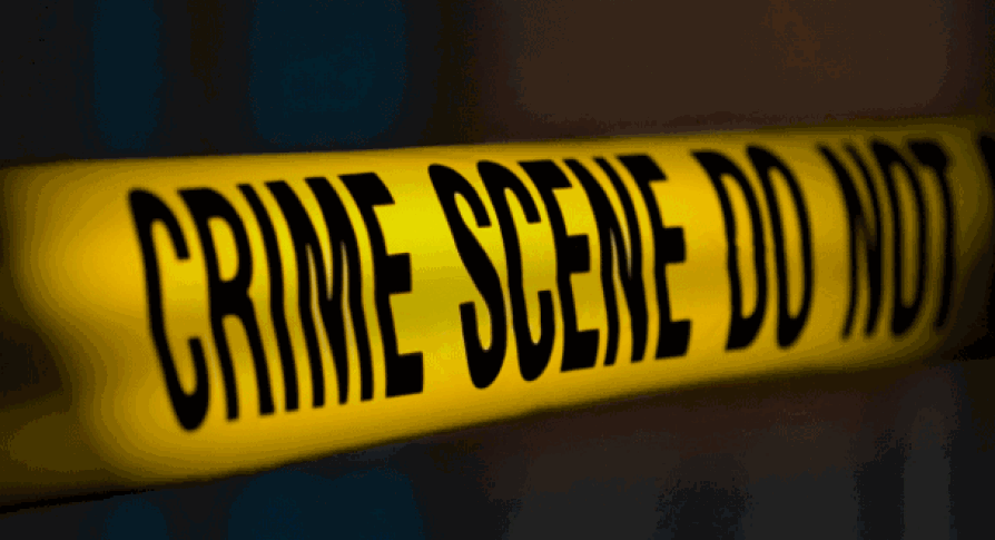 Mother, son found dead at Mira Road residence; Police discover suicide note on a laptop