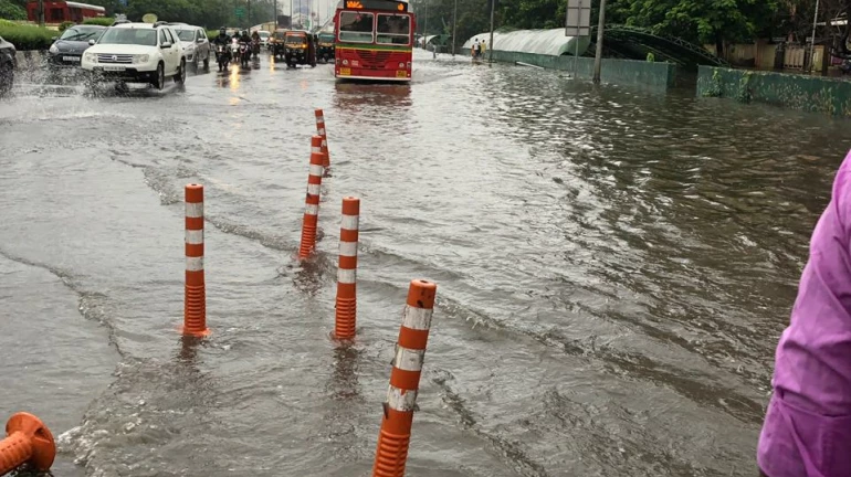 गरज असेल तरच घराबाहेर पडा- राज्य सरकार गरज असेल तरच घराबाहेर पडा- राज्य सरकार