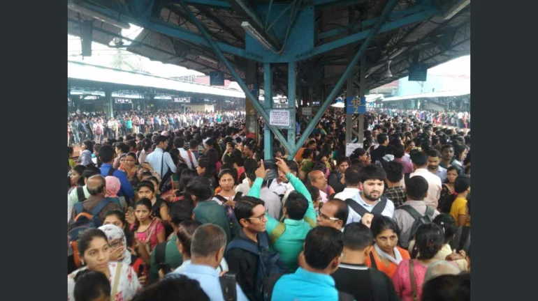 उशीरा सुचलं शहाणपण, रविवारचं वेळापत्रक रद्द, ठाण्यात चेंगराचेंगरीत २ महिला बेशुद्ध उशीरा सुचलं शहाणपण, रविवारचं वेळापत्रक रद्द, ठाण्यात चेंगराचेंगरीत २ महिला बेशुद्ध