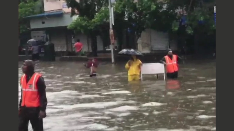 नाले में गिरी भैंस, किया गया रेस्क्यू नाले में गिरी भैंस, किया गया रेस्क्यू