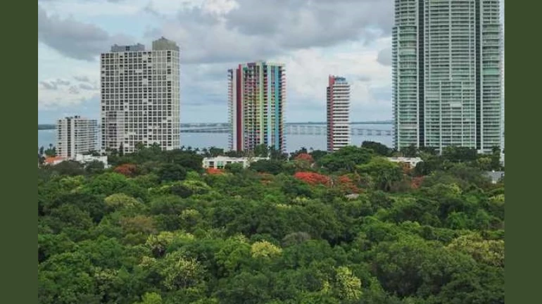 बीएमसी की अनोखी पहल, मुंबई शहर के अंदर उगायेगी जंगल बीएमसी की अनोखी पहल, मुंबई शहर के अंदर उगायेगी जंगल