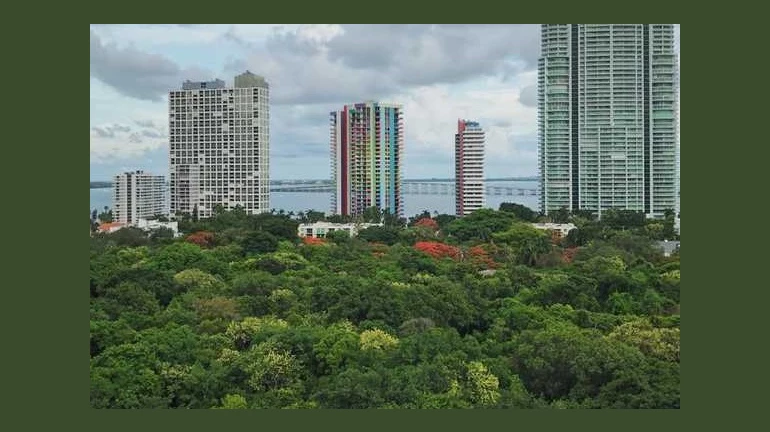 Cyclone Nisarga Aids Mumbai in Recording Its Cleanest Air of 2020 Cyclone Nisarga Aids Mumbai in Recording Its Cleanest Air of 2020