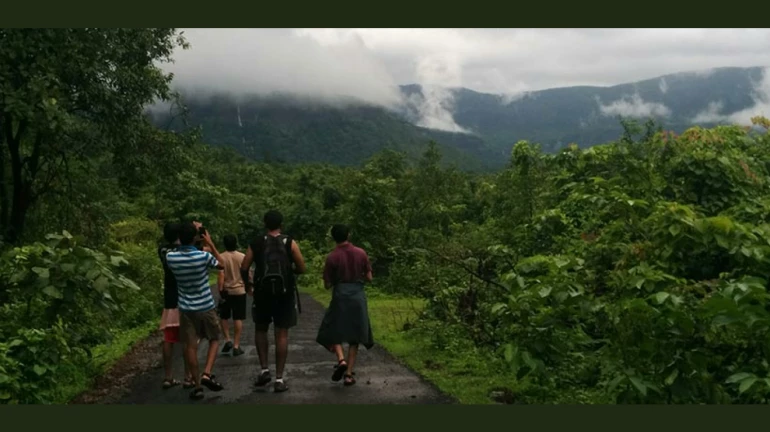 पावसाळ्यात फिरायला जायचंय? मग या ५ ठिकाणी अनुभवा मजा, मस्ती आणि थ्रिल पावसाळ्यात फिरायला जायचंय? मग या ५ ठिकाणी अनुभवा मजा, मस्ती आणि थ्रिल