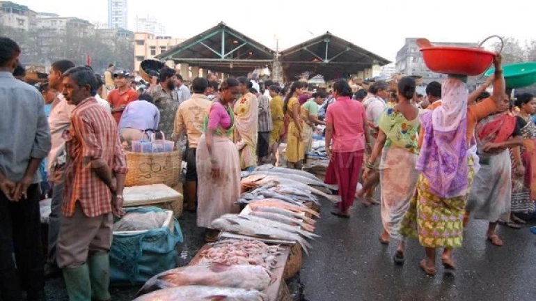 छत्रपती शिवाजी महाराज मंडई कायमस्वरूपी बंद करण्याला कोळी बांधवांचा विरोध छत्रपती शिवाजी महाराज मंडई कायमस्वरूपी बंद करण्याला कोळी बांधवांचा विरोध