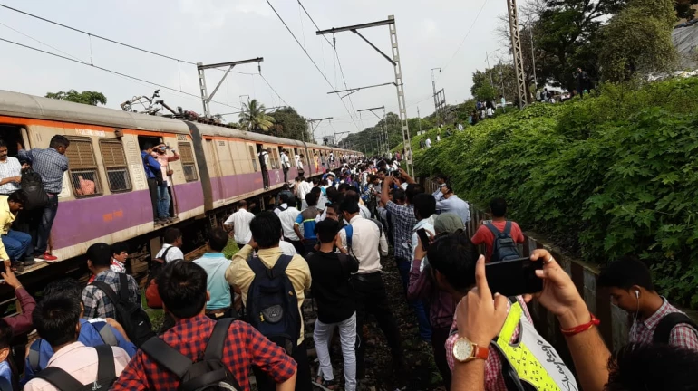 ओव्हरहेड वायर तुटल्यानं मध्य रेल्वे विस्कळीत ओव्हरहेड वायर तुटल्यानं मध्य रेल्वे विस्कळीत