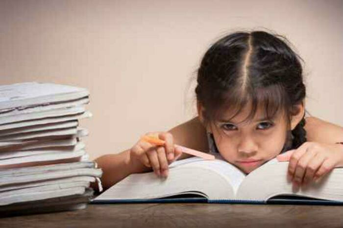 अभ्यासक्रम कायमस्वरूपी वगळलेला नाही, शालेय शिक्षण विभागाचा खुलासा