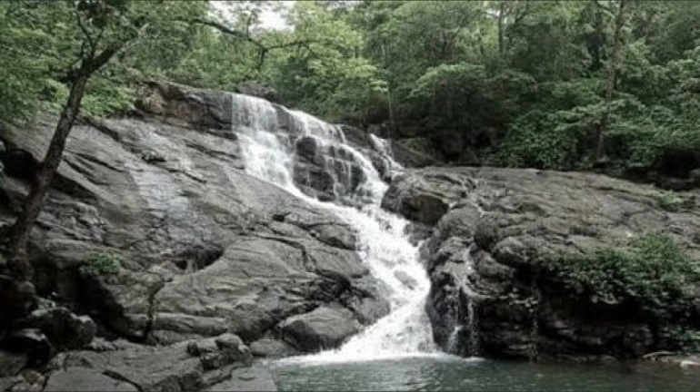 Navi Mumbai: Over 100 people booked for picnicking near waterfalls