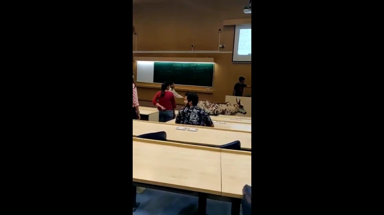 IIT च्या चालू वर्गात घुसली गाय! IIT च्या चालू वर्गात घुसली गाय!
