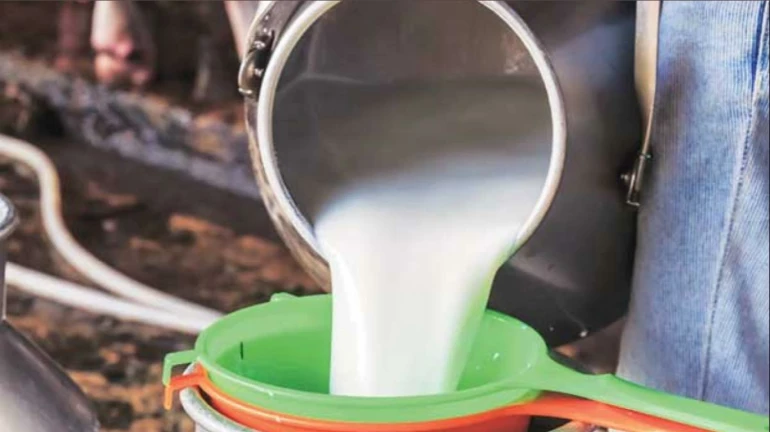 1 सितंबर से मुंबई में भैंस के दूध की थोक कीमत में 2 रुपये प्रति लीटर की बढ़ोतरी