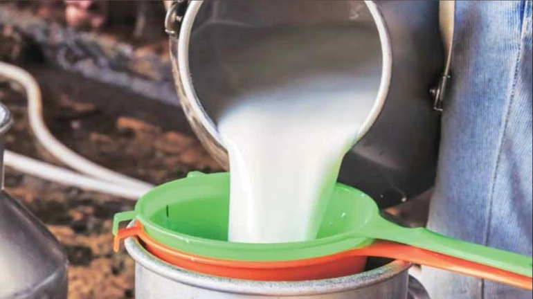 Buffalo Milk Prices Increased from Today in Mumbai