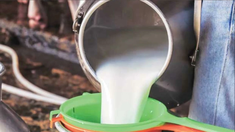 Will the supply of essentials be disrupted in Mumbai? Will the supply of essentials be disrupted in Mumbai?