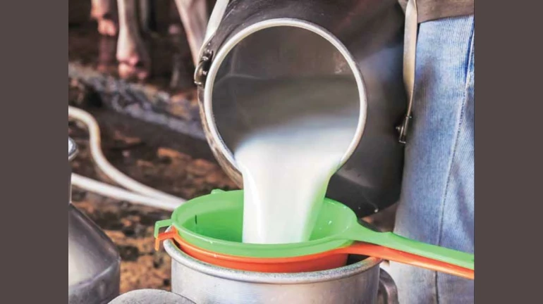 Dairy farmers facing huge losses across Maharashtra due to the lockdown