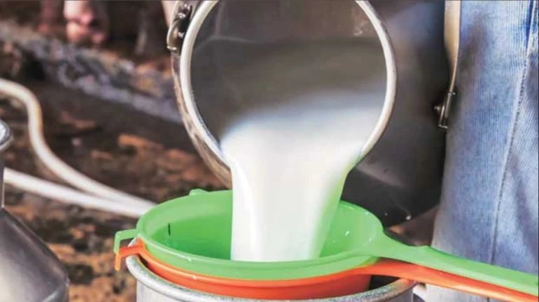 दूध भेसळी विरोधात राज्यभरात सर्वेक्षण दूध भेसळी विरोधात राज्यभरात सर्वेक्षण