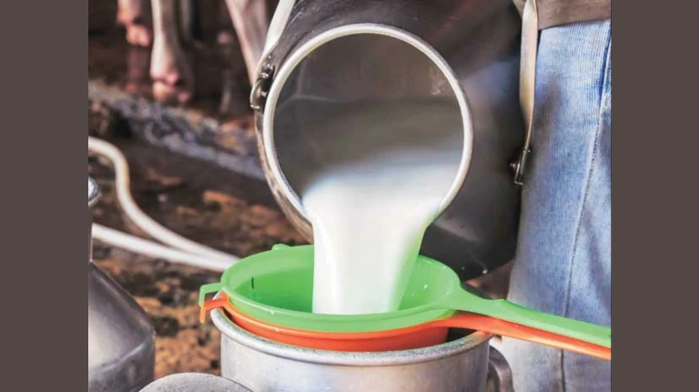 Festival Food Safety Campaign: FDA Cracks Down on Adulterated Milk & Cheese in Mumbai in 2 weeks