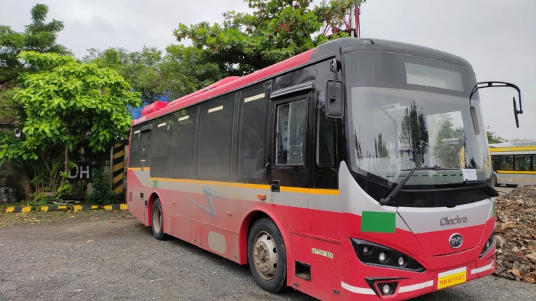 बेस्टच्या ताफ्यात १० इलेक्ट्रीक बस दाखल बेस्टच्या ताफ्यात १० इलेक्ट्रीक बस दाखल