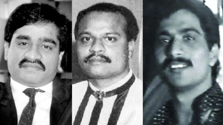 रिझवानच्या अटकेने दाऊद संतापला, शकील आणि फईमला फैलावर घेतलं रिझवानच्या अटकेने दाऊद संतापला, शकील आणि फईमला फैलावर घेतलं